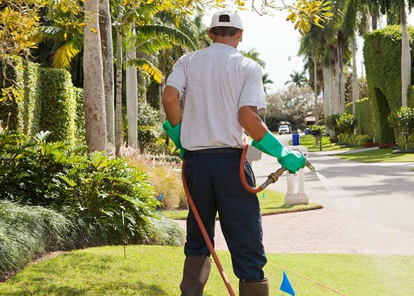 About Hildreth NE Pest Control